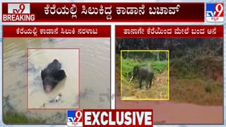 ಕರೆಯಲ್ಲಿ ಸಿಲುಕಿದ್ದ ಕಾಡಾನೆ ಬಚಾವ್, 2 ದಿನ ನರಳಾಡಿ ತನ್ನಷ್ಟಕ್ಕೇ ತಾನೆ ಆಚೆ ಬಂದ ಆನೆ