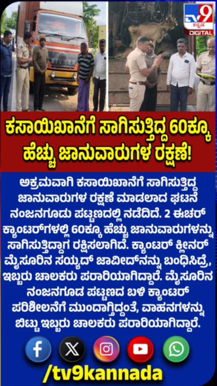 ಕಸಾಯಿಖಾನೆಗೆ ಸಾಗಿಸುತ್ತಿದ್ದ 60ಕ್ಕೂ ಹೆಚ್ಚು ಜಾನುವಾರುಗಳ ರಕ್ಷಣೆ