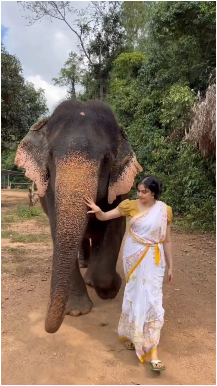 ಆನೆ ಜೊತೆ ವಾಕಿಂಗ್ ಹೊರಟ ಅದಾ ಶರ್ಮಾ