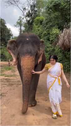 ಆನೆ ಜೊತೆ ನಡೆದು ಬಂದ ನಟಿ ಅದಾ ಶರ್ಮಾ