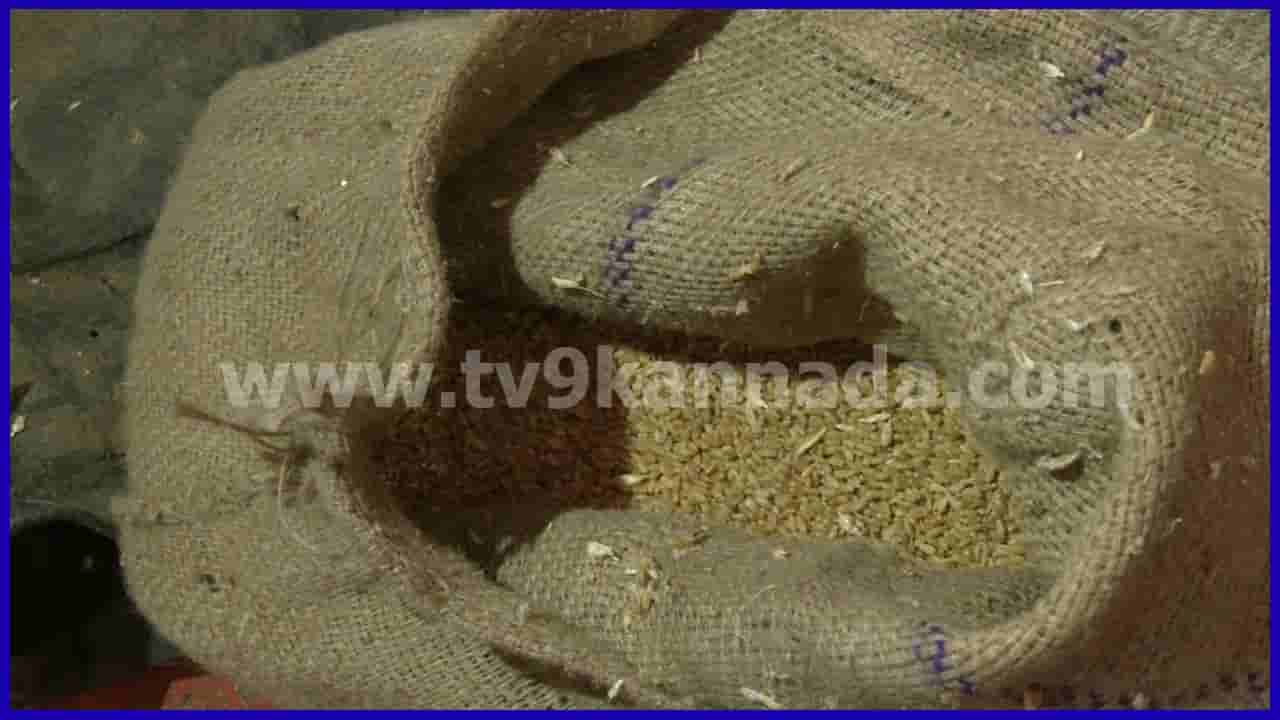 ಪ್ರಿಯಾಂಕ್ ಖರ್ಗೆ ತವರು ಜಿಲ್ಲೆ ಕಲಬುರಗಿಯಲ್ಲಿ ಮತ್ತೊಂದು ಅಧ್ವಾನ: ಬಿಸಿಯೂಟದ ಬೇಳೆ, ಅಕ್ಕಿಯಲ್ಲಿ ಹುಳುಗಳದ್ದೇ ರಾಶಿ