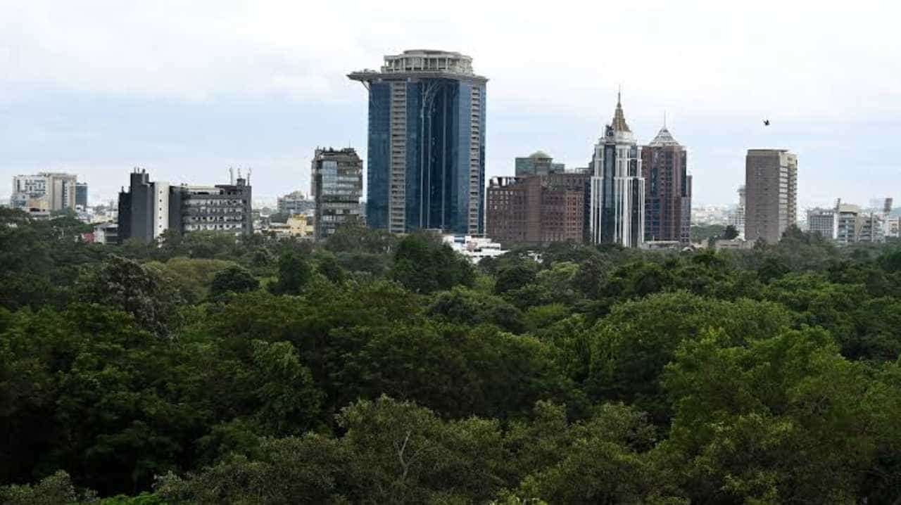 Bengaluru Air Quality: ರಾಜ್ಯದ ವಾಯು ಗುಣಮಟ್ಟ ತೃಪ್ತಿಕರ; ಬೆಂಗಳೂರಿನಲ್ಲಿ ಮಧ್ಯಮ ಮಟ್ಟದ AQI ದಾಖಲು Bengaluru Air Quality: ರಾಜ್ಯದ ವಾಯು ಗುಣಮಟ್ಟ ತೃಪ್ತಿಕರ; ಬೆಂಗಳೂರಿನಲ್ಲಿ ಮಧ್ಯಮ ಮಟ್ಟದ AQI ದಾಖಲು