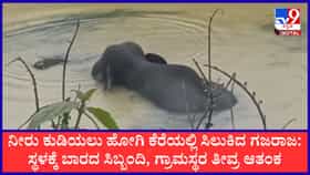 ಕೊಡಗು: 24 ಗಂಟೆಗಳಿಂದ ಕೆಸರಿನಲ್ಲಿ ಸಿಲುಕಿ ನರಳಾಡುತ್ತಿರುವ ಕಾಡಾನೆ; ಅರಣ್ಯ ಇಲಾಖೆ ವಿರುದ್ಧ ಜನರ ಆಕ್ರೋಶ