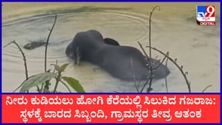 ಕೊಡಗು: 24 ಗಂಟೆಗಳಿಂದ ಕೆಸರಿನಲ್ಲಿ ಸಿಲುಕಿ ನರಳಾಡುತ್ತಿರುವ ಕಾಡಾನೆ; ಅರಣ್ಯ ಇಲಾಖೆ ವಿರುದ್ಧ ಜನರ ಆಕ್ರೋಶ