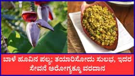 ಬಾಳೆ ಹೂವಿನಿಂದ ತಯಾರಿಸಿ ರುಚಿಕರ ಪಲ್ಯ