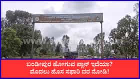 ಬಂಡೀಪುರ ಸಫಾರಿ ದರ ಬಹುತೇಕ ಡಬಲ್, ಸೆ. 1ರಿಂದ ಪ್ರವಾಸಿಗರಿಗೆ ಹೊಸ ಶುಲ್ಕ