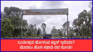 Bandipur Safari: ಬಂಡೀಪುರ ಸಫಾರಿ ದರ ಬಹುತೇಕ ಡಬಲ್, ಸೆಪ್ಟೆಂಬರ್ 1ರಿಂದ ಪ್ರವಾಸಿಗರಿಗೆ ಹೊಸ ಶುಲ್ಕ