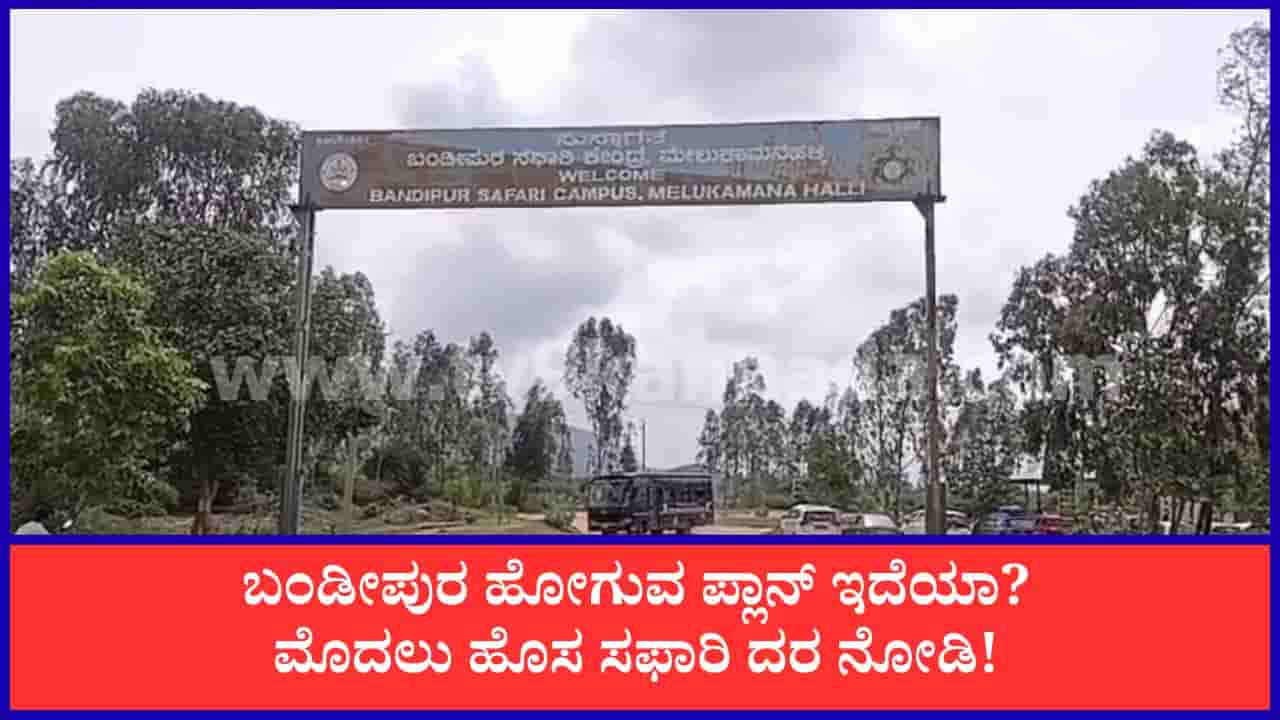 Bandipur Safari: ಬಂಡೀಪುರ ಸಫಾರಿ ದರ ಬಹುತೇಕ ಡಬಲ್, ಸೆಪ್ಟೆಂಬರ್ 1ರಿಂದ ಪ್ರವಾಸಿಗರಿಗೆ ಹೊಸ ಶುಲ್ಕ