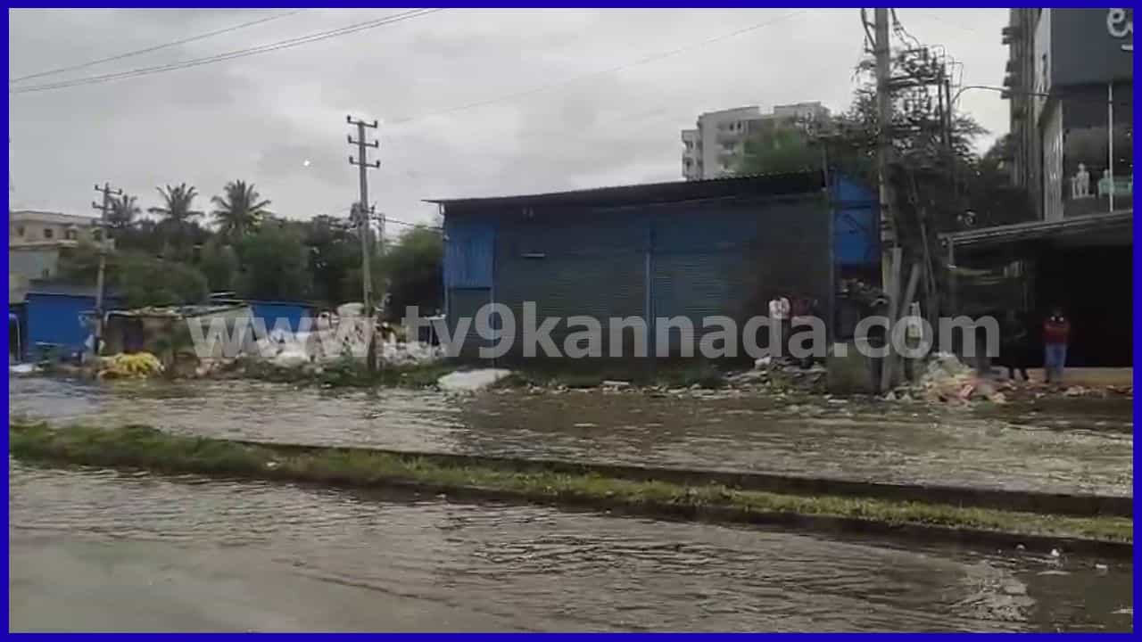 Karnataka Weather Forecast: ಮತ್ತೆ ಮುಂಗಾರು ಚುರುಕು; ಕರಾವಳಿ, ಮಲೆನಾಡಿನಲ್ಲಿ ಭಾರೀ ಮಳೆ ಮುನ್ಸೂಚನೆ