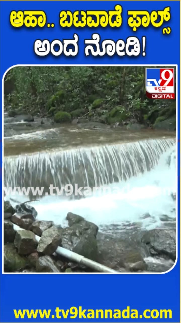 ಬಟವಾಡೆ ಫಾಲ್ಸ್​​ಗೆ ಜೀವಕಳೆ