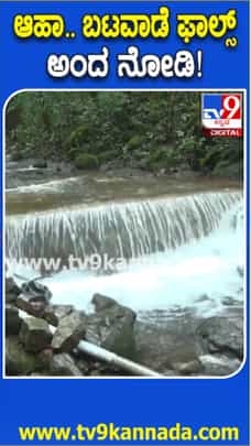 ಬಟವಾಡೆ ಫಾಲ್ಸ್​​ಗೆ ಜೀವಕಳೆ