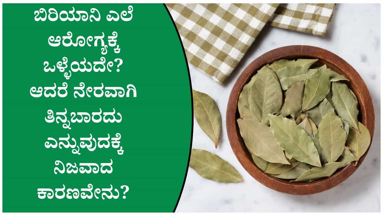 ಬಿರಿಯಾನಿ ಎಲೆ ನೇರವಾಗಿ ತಿನ್ನುವುದು ಸುರಕ್ಷಿತವೇ? ಈ ಸಣ್ಣ ತಪ್ಪು ಗಂಟಲು, ಜೀರ್ಣಾಂಗಕ್ಕೆ ಅಪಾಯ ತರಬಹುದು ಎಚ್ಚರ ಬಿರಿಯಾನಿ ಎಲೆ ನೇರವಾಗಿ ತಿನ್ನುವುದು ಸುರಕ್ಷಿತವೇ? ಈ ಸಣ್ಣ ತಪ್ಪು ಗಂಟಲು, ಜೀರ್ಣಾಂಗಕ್ಕೆ ಅಪಾಯ ತರಬಹುದು ಎಚ್ಚರ