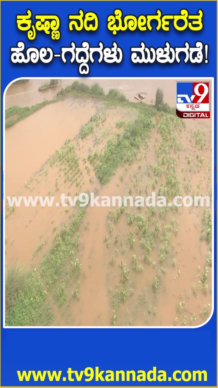 ಕೃಷ್ಣಾ ನದಿ ಭೋರ್ಗರೆತಕ್ಕೆ ಹೊಲ-ಗದ್ದೆಗಳು ಮುಳುಗಡೆ