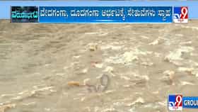 ಮಳೆ ಅಬ್ಬರ: ಬೆಳಗಾವಿ ಜಿಲ್ಲೆಯಲ್ಲಿ ಮೈದುಂಬಿ ಹರಿಯುತ್ತಿರುವ ನದಿಗಳು
