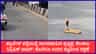 ಬೆಂಗಳೂರಿನ ಪ್ಯಾಲೇಸ್ ರಸ್ತೆ ಮಧ್ಯೆ ಹೆಡೆಬಿಚ್ಚಿ ನಿಂತ ನಾಗರಹಾವು