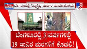 Trees Cut Down At Bengaluru: ಬೆಂಗಳೂರಿನಲ್ಲಿ 3 ವರ್ಷಗಳಲ್ಲಿ 19 ಸಾವಿರ ಮರಗಳಿಗೆ ಕೊಡಲಿ!