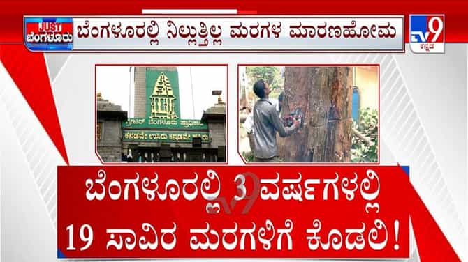 ಬೆಂಗಳೂರಿನಲ್ಲಿ 3 ವರ್ಷಗಳಲ್ಲಿ 19 ಸಾವಿರ ಮರಗಳಿಗೆ ಕೊಡಲಿ!