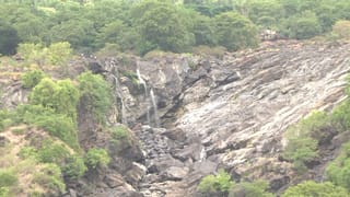 ಮುಂಗಾರು ಮಳೆ ಕೊರತೆ: ಭರಚುಕ್ಕಿ ಜಲಪಾತ ಭಣಭಣ, ಪ್ರವಾಸಿಗರ ಸಂಖ್ಯೆಯಲ್ಲೂ ಇಳಿಮುಖ