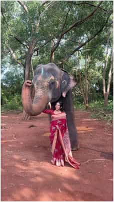 ಆನೆ ಜತೆ ನಟಿ ಭವ್ಯಾ ಗೌಡ ಮುದ್ದಾದ ಕ್ಷಣಗಳು