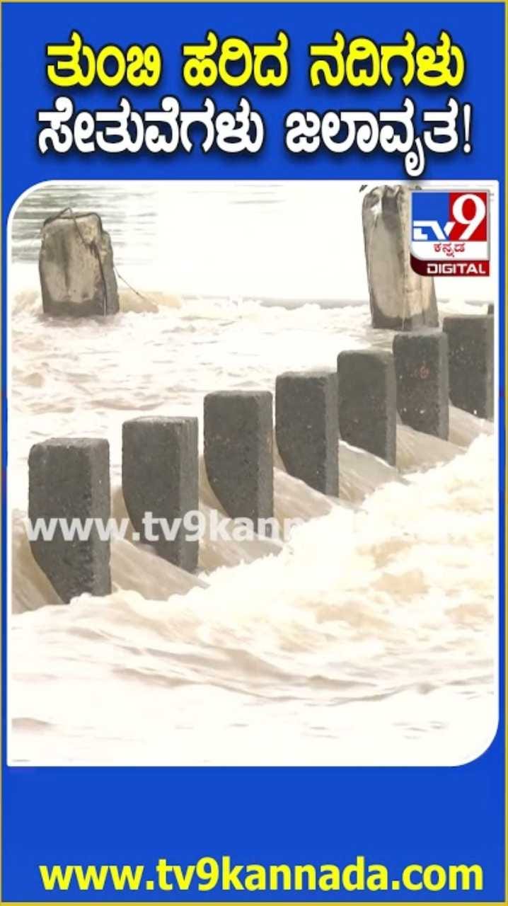 ವರುಣನ ಆರ್ಭಟಕ್ಕೆ ಸೇತುವೆಗಳು ಜಲಾವೃತ!