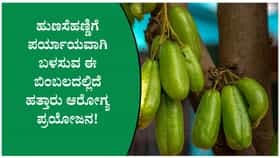 ರೋಗನಿರೋಧಕ ಶಕ್ತಿ ಹೆಚ್ಚಿಸಿಕೊಳ್ಳಲು ಮನೆಯಲ್ಲಿರುವ ಬಿಂಬಳಕಾಯಿಯೇ ಸಾಕು!