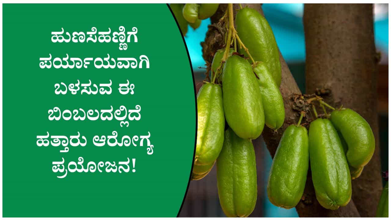 ಬಿಂಬಳಕಾಯಿಯನ್ನು ಅಡುಗೆಯಲ್ಲಿ ಮಾತ್ರವಲ್ಲ, ಜೀರ್ಣಕ್ರಿಯೆಯನ್ನು ಸುಧಾರಿಸಲು ಕೂಡ ಬಳಸಬಹುದು! ಬಿಂಬಳಕಾಯಿಯನ್ನು ಅಡುಗೆಯಲ್ಲಿ ಮಾತ್ರವಲ್ಲ, ಜೀರ್ಣಕ್ರಿಯೆಯನ್ನು ಸುಧಾರಿಸಲು ಕೂಡ ಬಳಸಬಹುದು!