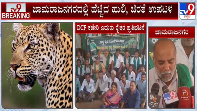 ಹುಲಿ ಹಿಡಿಯದಿದ್ರೆ ನಿಮ್ಮನ್ನೇ ಬೋನಿಗೆ ಹಾಕುತ್ತೇವೆ: ರೈತರ ಎಚ್ಚರಿಕೆ