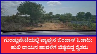 ಕಾರಿನಲ್ಲಿ ಹೋಗುತ್ತಿದ್ದಾಗ ಎದುರಾಯ್ತು ಹುಲಿ: ಗುಂಡ್ಲುಪೇಟೆಯಲ್ಲಿ ಮೊಬೈಲ್ ಕ್ಯಾಮೆರಾದಲ್ಲಿ ಸೆರೆಯಾಯ್ತು ಭೀಕರ ದೃಶ್ಯ
