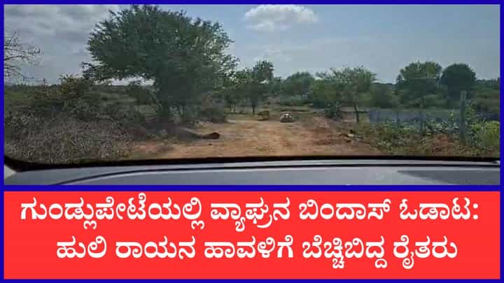 ಕಾರಿನಲ್ಲಿ ಹೋಗುತ್ತಿದ್ದಾಗ ಎದುರಾಯ್ತು ಹುಲಿ: ಗುಂಡ್ಲುಪೇಟೆಯಲ್ಲಿ ಮೊಬೈಲ್ ಕ್ಯಾಮೆರಾದಲ್ಲಿ ಸೆರೆಯಾಯ್ತು ಭೀಕರ ದೃಶ್ಯ ಕಾರಿನಲ್ಲಿ ಹೋಗುತ್ತಿದ್ದಾಗ ಎದುರಾಯ್ತು ಹುಲಿ: ಗುಂಡ್ಲುಪೇಟೆಯಲ್ಲಿ ಮೊಬೈಲ್ ಕ್ಯಾಮೆರಾದಲ್ಲಿ ಸೆರೆಯಾಯ್ತು ಭೀಕರ ದೃಶ್ಯ