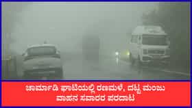 ಚಾರ್ಮಾಡಿ ಘಾಟಿಯಲ್ಲಿ ರಣಮಳೆ, ದಟ್ಟ ಮಂಜು, ಫಾಲ್ಸ್​ಗಳ ಅಬ್ಬರ