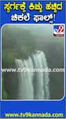 ಚಿಕಲೆ ಫಾಲ್ಸ್​ಗೆ ಬಂತು ಜೀವಕಳೆ!