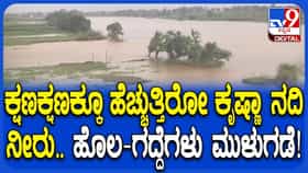 ಮಹಾ ಮಳೆಗೆ ಉಕ್ಕಿ ಹರಿಯುತ್ತಿರುವ ಕೃಷ್ಣಾ: ಚಿಕ್ಕೋಡಿಯಲ್ಲಿ ಪ್ರವಾಹ ಭೀತಿ