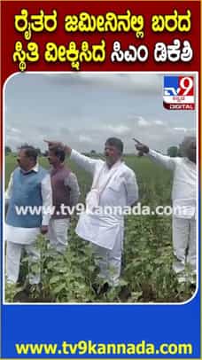 ಚಿತ್ರದುರ್ಗ ಜಿಲ್ಲೆಯಲ್ಲಿ ಬರದ ಪರಿಸ್ಥಿತಿ ವೀಕ್ಷಿಸಿದ ಸಿಎಂ ಡಿಕೆಶಿ, DCM ಪರಂ