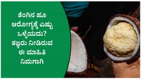 ಮೊಳಕೆಯೊಡೆದ ತೆಂಗಿನ ಹೂ: ಆರೋಗ್ಯಕರ ಆಹಾರದ ಹೊಸ ಆಯ್ಕೆ