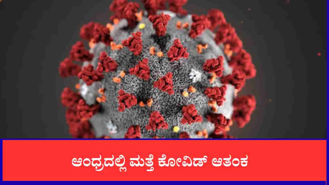 ಆಂಧ್ರದಲ್ಲಿ ಮತ್ತೆ ಕೋವಿಡ್ ಆತಂಕ: 2022 ರ ನಂತರ ಮೊದಲ ಸಾವು ದಾಖಲು, ಕಡಪದಲ್ಲಿ ಇಬ್ಬರು ಬಲಿ, ನಾಲ್ವರಿಗೆ ಪಾಸಿಟಿವ್