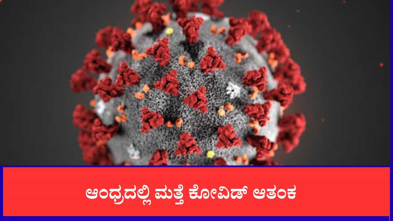 ಆಂಧ್ರದಲ್ಲಿ ಮತ್ತೆ ಕೋವಿಡ್ ಆತಂಕ: 2022 ರ ನಂತರ ಮೊದಲ ಸಾವು ದಾಖಲು, ಕಡಪದಲ್ಲಿ ಇಬ್ಬರು ಬಲಿ, ನಾಲ್ವರಿಗೆ ಪಾಸಿಟಿವ್ ಆಂಧ್ರದಲ್ಲಿ ಮತ್ತೆ ಕೋವಿಡ್ ಆತಂಕ: 2022 ರ ನಂತರ ಮೊದಲ ಸಾವು ದಾಖಲು, ಕಡಪದಲ್ಲಿ ಇಬ್ಬರು ಬಲಿ, ನಾಲ್ವರಿಗೆ ಪಾಸಿಟಿವ್