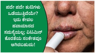 ಪದೇ ಪದೇ ತುಟಿ ಒಡೆಯುವುದು ಕೇವಲ ಹವಾಮಾನದಿಂದಲ್ಲ ಇದಕ್ಕೆ ಈ ವಿಟಮಿನ್ ಕೊರತೆಯೂ ಕಾರಣವಾಗಿರಬಹುದು