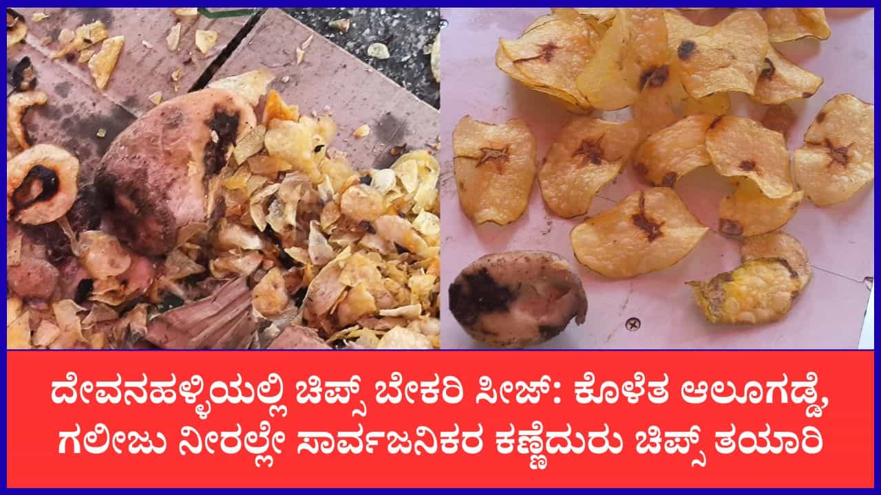 ಆಲೂಗಡ್ಡೆ ಚಿಪ್ಸ್ ಪ್ರಿಯರೇ ಹುಷಾರ್: ಕೊಳೆತ ಆಲೂಗಡ್ಡೆ, ಗಲೀಜು ನೀರಿಂದ ಚಿಪ್ಸ್ ತಯಾರಿ ಆಲೂಗಡ್ಡೆ ಚಿಪ್ಸ್ ಪ್ರಿಯರೇ ಹುಷಾರ್: ಕೊಳೆತ ಆಲೂಗಡ್ಡೆ, ಗಲೀಜು ನೀರಿಂದ ಚಿಪ್ಸ್ ತಯಾರಿ