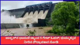 ಪಾಲ್ಘರ್‌ನ ಧಾಮಣಿ ಡ್ಯಾಂನ 5 ಗೇಟ್ ಓಪನ್; ಧುಮ್ಮುಕ್ಕುವ ನೀರಿನ ರೌದ್ರಾವತಾರ ನೋಡಿ