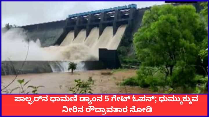 ಪಾಲ್ಘರ್ನ ಧಾಮಣಿ ಡ್ಯಾಂನ 5 ಗೇಟ್ ಓಪನ್; ಧುಮ್ಮುಕ್ಕುವ ನೀರಿನ ರೌದ್ರಾವತಾರ ನೋಡಿ ಪಾಲ್ಘರ್ನ ಧಾಮಣಿ ಡ್ಯಾಂನ 5 ಗೇಟ್ ಓಪನ್; ಧುಮ್ಮುಕ್ಕುವ ನೀರಿನ ರೌದ್ರಾವತಾರ ನೋಡಿ
