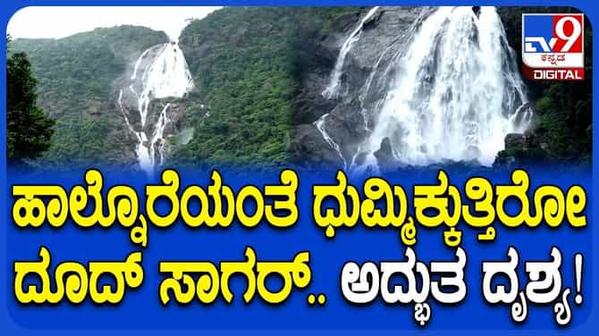 Dudhsagar Falls: ಹಾಲಿನ ಕಡಲಿನಂತೆ ಹರಿಯುತ್ತಿದೆ ದೂದ್‌ ಸಾಗರ್​!