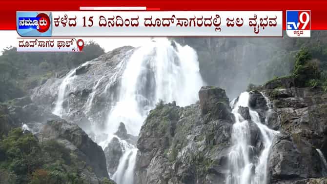 ಮೈದುಂಬಿದ ದೂದ್‌ಸಾಗರ ಜಲಪಾತ: ಫಾಲ್ಸ್​​ ಸೌಂದರ್ಯಕ್ಕೆ ಪ್ರವಾಸಿಗರು ಫಿದಾ