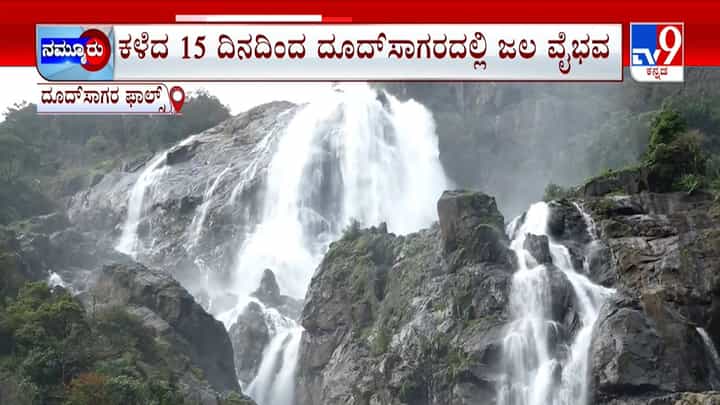 ಪಶ್ಚಿಮ ಘಟ್ಟ ಪ್ರದೇಶದಲ್ಲಿ ಭಾರಿ ಮಳೆ ಎಫೆಕ್ಟ್: ಮೈದುಂಬಿದ ದೂದ್ಸಾಗರ ಜಲಪಾತ ಪಶ್ಚಿಮ ಘಟ್ಟ ಪ್ರದೇಶದಲ್ಲಿ ಭಾರಿ ಮಳೆ ಎಫೆಕ್ಟ್: ಮೈದುಂಬಿದ ದೂದ್ಸಾಗರ ಜಲಪಾತ