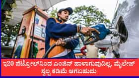 ಇ20 ಪೆಟ್ರೋಲ್‌ನಿಂದ ಎಂಜಿನ್ ಹಾಳಾಗುವುದಿಲ್ಲ, ಮೈಲೇಜ್‌ ಕಡಿಮೆ ಆಗಬಹುದು