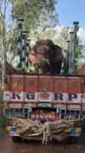 ರೈತರ ನಿದ್ದೆಗೆಡಿಸಿದ್ದ ಕಾಡಾನೆ ಕೊನೆಗೂ ಸೆರೆ