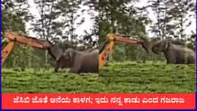 ಜೆಸಿಬಿ ಜೊತೆ ಆನೆಯ ಕಾಳಗ; ಇದು ನನ್ನ ಕಾಡು ಎಂದ ಗಜರಾಜ