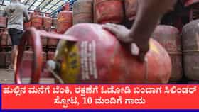ತಂಜಾವೂರಿನಲ್ಲಿ ಸಿಲಿಂಡರ್ ಸ್ಫೋಟ: ಬೆಂಕಿ ನಂದಿಸಲು ಹೋದ 10 ಜನರಿಗೆ ಗಾಯ