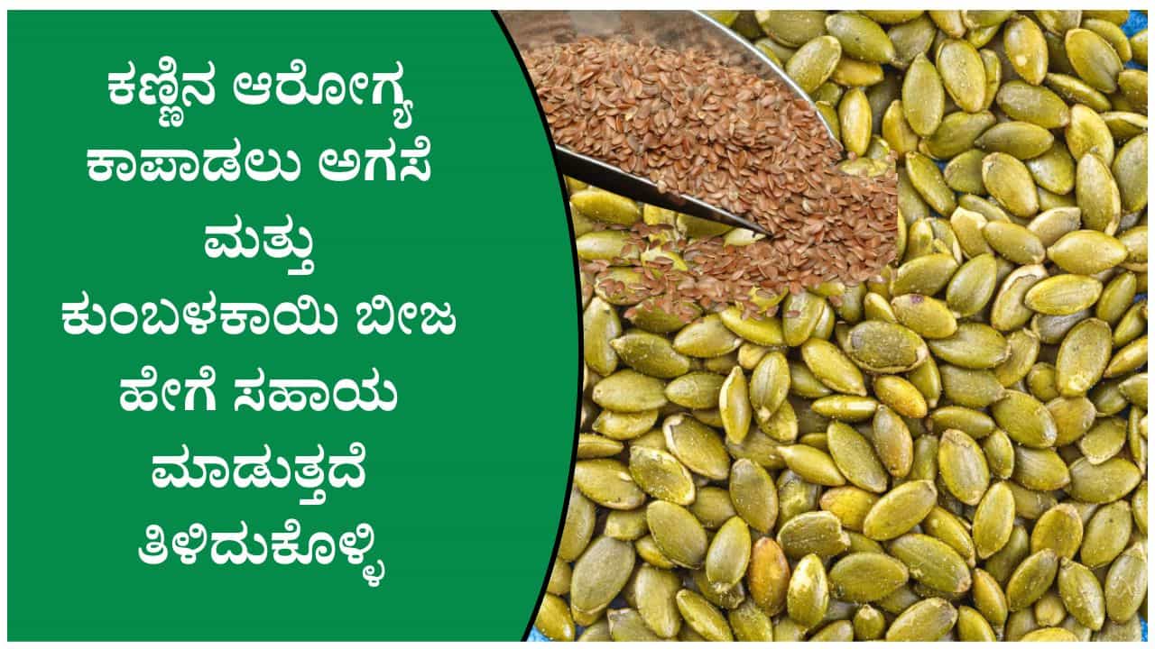 ದೃಷ್ಟಿ ಮಸಕಾಗುವುದನ್ನು ತಡೆಯಲು ಆಹಾರದಲ್ಲಿ ಈ ಬೀಜಗಳನ್ನು ಸೇರಿಸಿಕೊಳ್ಳಿ ದೃಷ್ಟಿ ಮಸಕಾಗುವುದನ್ನು ತಡೆಯಲು ಆಹಾರದಲ್ಲಿ ಈ ಬೀಜಗಳನ್ನು ಸೇರಿಸಿಕೊಳ್ಳಿ