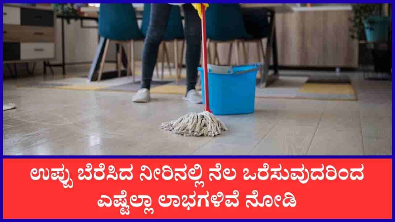 ಟೈಲ್ಸ್ ಫಳ ಫಳ ಹೊಳಿಬೇಕಾ? ಹಾಗಿದ್ರೆ ನೆಲ ಒರೆಸುವ ನೀರಿಗೆ ಚಿಟಿಕೆ ಉಪ್ಪನ್ನು ಸೇರಿಸಿ