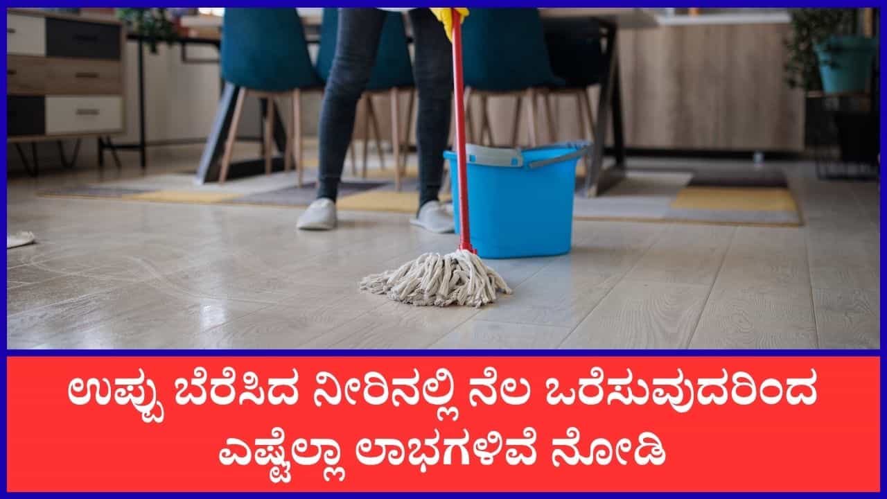 ಟೈಲ್ಸ್ ಫಳ ಫಳ ಹೊಳಿಬೇಕಾ? ಹಾಗಿದ್ರೆ ನೆಲ ಒರೆಸುವ ನೀರಿಗೆ ಚಿಟಿಕೆ ಉಪ್ಪನ್ನು ಸೇರಿಸಿ ಟೈಲ್ಸ್ ಫಳ ಫಳ ಹೊಳಿಬೇಕಾ? ಹಾಗಿದ್ರೆ ನೆಲ ಒರೆಸುವ ನೀರಿಗೆ ಚಿಟಿಕೆ ಉಪ್ಪನ್ನು ಸೇರಿಸಿ